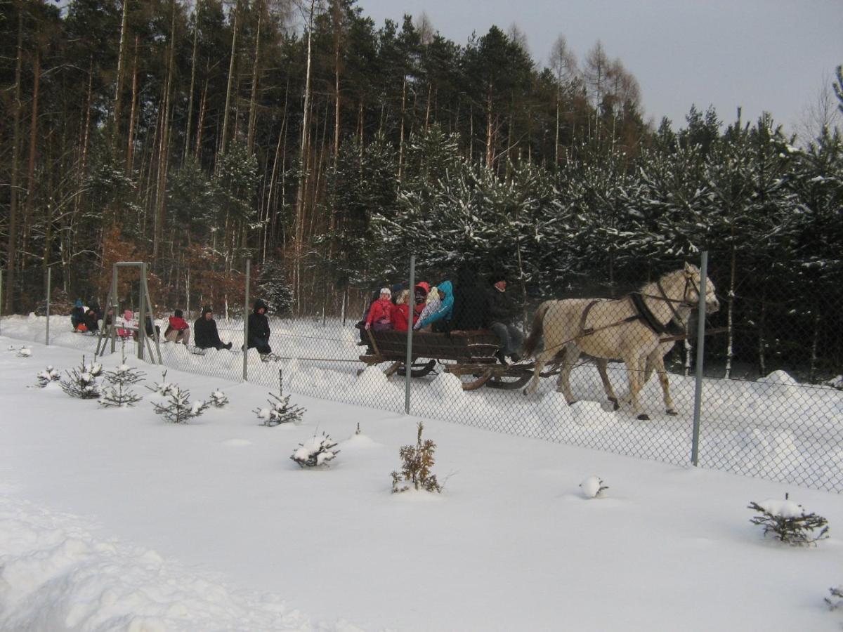 Lesny Dworek Snochowice Exteriér fotografie
